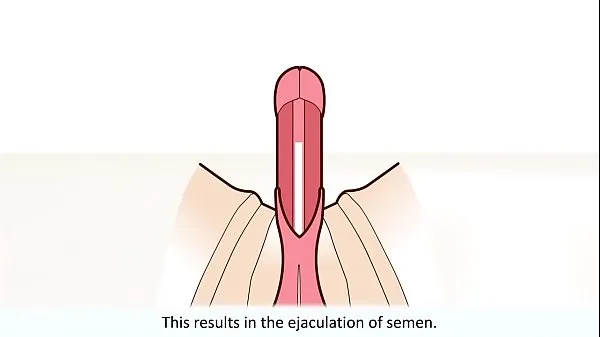 Guarda L'orgasmo maschile ha spiegatoil nuovo canale