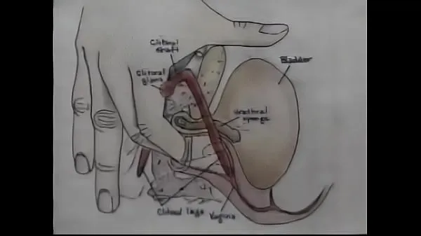 Mira Video de entrenamiento de orgasmos de educación sexual tubo nuevo