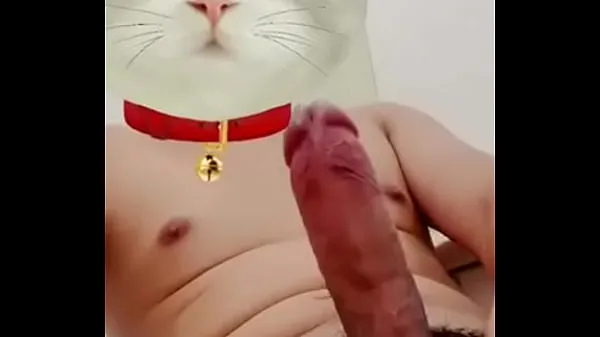 Titta på The lewd cat nya Tube
