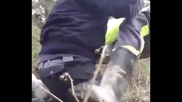 Regardez Un gardien garde la bite du superviseurnouveau tube