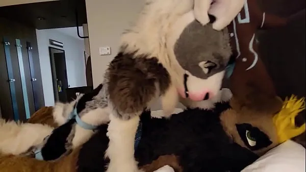 Tonton Furry sex murrsuit compilation moan part 4 Tube baharu